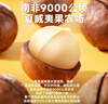三只松鼠芥末味夏威夷果仁500g 非油炸袋装坚果果仁脆皮休闲零食 实拍图