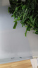 茶花（CHAHUA）砧板菜板加厚厨房砧板切菜板家用案板塑料水果板面板小号 实拍图