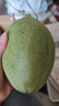 晓蜜25号爆甜哈密瓜新鲜现摘应季水果西州蜜 中小果（≥500g）5斤净重2250g 实拍图