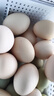 京喜加 谷物喂养初产新鲜鸡蛋40g正负5g生鲜超市买菜早餐土鸡蛋草鸡蛋 10枚 实拍图