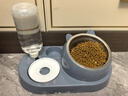 憨憨乐园 猫碗狗碗宠物食盆猫咪双碗粮盆自动饮水机喝水器喂食用品 蓝 实拍图