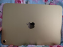 Apple/苹果 iPad11英寸 A16芯片2025年款 平板电脑 (512GB WLAN版/学习办公娱乐)黄色 实拍图