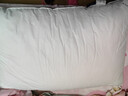 康尔馨希尔顿五星级酒店枕头 抗菌纯棉纤维枕成人家用单人枕头芯 白色 中枕(74*48cm) 单只 实拍图