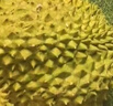 京鲜生 进口金枕头榴莲 净重4-5斤 1个装  鲜果 生鲜 新鲜水果 实拍图