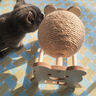 HELLOJOY逗猫咪玩具自嗨解闷猫抓板幼猫爪板小猫抓球耐抓不掉屑耐磨猫爬架 实拍图
