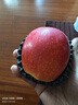 京鲜生Mr Apple新西兰皇后红玫瑰苹果9粒特级果180-220g 水果礼盒 实拍图