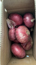 山东特产水果扁洋葱甜瓜口感红皮扁葱头生吃脆甜蘸酱好吃粉嫩 紫皮洋葱大果带箱 5斤 精选 实拍图