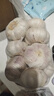山东金乡蒜大蒜出口标准精选大蒜头蔬菜调料单果5cm 出口标准网兜装箱 455g 5-5.5cm特大 实拍图
