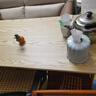 全品屋餐桌椅组合家用饭桌子小户型简约公寓快餐出租商用长方形电脑桌 原木色 120cm 【宽60CM】单桌子 实拍图
