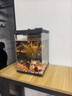派乐特 鱼缸造景石头水族箱龟缸多肉底砂雨花石热敷鹅卵石子2kg 实拍图