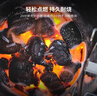 威焙（weber） 天然有机制炭易燃耐烤持久低烟烧烤工具 原装进口 烧烤碳果木炭 新款5KG进口烧烤炭 实拍图