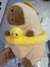 乐英奇夏日超萌卡皮风情巴拉水豚玩偶公仔可爱毛绒玩具女生女孩生日礼物 泳圈款 25cm 实拍图