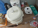 九阳（Joyoung）电炖锅电炖盅电砂锅煲汤锅炖汤锅多功能锅燕窝锅大容量煮粥神器婴儿辅食锅电煮锅GD526Z 实拍图