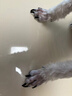 来旺兄弟宠物剃毛器狗狗四合一猫咪剃脚毛推子电动磨甲修毛充电款 实拍图