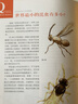 昆虫Q&A（自然观察丛书） 实拍图