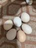 京喜加土鸡蛋 新鲜鸡蛋山林自养 生鲜溏心蛋 卤蛋早餐京东买菜40g正负5g 6枚装总重240g+ 实拍图