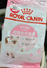皇家幼猫猫粮 幼猫专用 K36 通用粮 4-12月 400g 实拍图