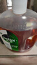 滴露（Dettol）消毒液灭活流感冠状病毒消毒水除菌1.8L*2洗衣家居宠物除螨杀菌 实拍图