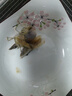 沃鲜汇 大虾海虾 厄瓜多尔白虾 大青虾 生鲜 虾类 海鲜水产 进口鲜活 50/60规格 1.65kg(净重)  盐冻款【净重3.3斤 只只分离】 实拍图