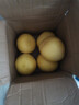柚满园梅州红心柚子红柚子正宗梅县特产新鲜水果冰糖金碌柚红肉红心蜜柚 大果带箱19-20斤共4-8个 实拍图