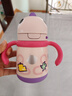 babycare儿童保温杯婴儿宝宝吸管水杯霸王龙不锈钢保温杯300ml-新旧款混发 实拍图