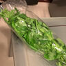 【24小时菜】大芹菜约400g 实拍图
