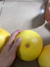 京鲜生 梅州白心蜜柚 单果1.7起 净重10斤 生鲜水果 源头直发包邮 实拍图