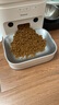 皇家幼猫奶糕 幼猫猫粮 BK34 通用粮 1-4月 2KG 实拍图