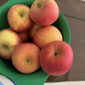 阿克苏苹果新疆阿克苏冰糖心苹果 时令苹果水果 丑苹果红富士 一级果单果约75-90mm净重4.5-5斤 实拍图
