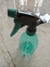 喷壶浇花浇水喷雾器气压式喷水壶家用园艺养花500ml 南瓜喷壶透蓝【1个装】 实拍图