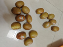 佳沛（zespri）佳沛奇异果新西兰进口阳光金果【JD顺丰-送货上门】黄心猕猴桃 【礼盒】16颗 大果约105-120g 实拍图