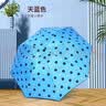 学生可爱雨伞折叠手动伞晴雨两用防晒防紫外线太阳伞折叠遮阳伞 天空蓝-防雨防晒/卡通小熊反向 手动 实拍图