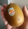 佳沛（zespri）【官方正品】新西兰阳光金奇异果黄心猕猴桃孕妇宝宝辅食送礼水果 大果16枚礼盒装【单果约105-125g】 实拍图