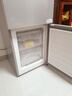 上菱185升双开门冰箱1.5米高左右小型出租房家用两门二门小户型双门宿舍办公以旧换新BBM185L 实拍图
