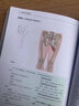 运动解剖学图谱 肌肉结构与功能全解第3版(人邮体育出品) 实拍图