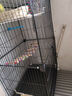 蔻丝鸟笼鹦鹉笼子大号家用虎皮玄凤鹦鹉新型豪华别墅珍珠绣眼八哥专用 多彩大别墅【47*37*78】8件套 实拍图