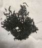 祥源茶 红茶 祁门红茶 祁红香螺毛峰桂花红茶组合试喝品鉴装16g 实拍图