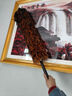 铸固 鸡毛掸子 除尘扫灰掸不掉毛高端除灰神器 鸡背毛掸子60cm【塑料把】 实拍图