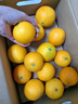 京鲜生 爱媛果冻橙 10斤装 单果150g起 生鲜水果桔子礼盒 实拍图