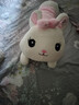 蓓斯曼【当次日达】毛绒玩具女生公仔趴趴兔子睡觉抱枕布娃娃玩偶陪睡生日礼物送女生夹腿布偶女孩儿童抱枕 粉色开心每一天蝴蝶结兔 1米 实拍图