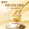 蒙牛（MENGNIU）阿慕乐奶皮子原味风味酸牛乳预制杯135g×10杯 源头直发 实拍图
