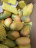 海南小台农芒果9斤新鲜现摘小台芒应当季时令热带水果整箱甜心芒 9斤净重8.5斤 【中果】实惠装 实拍图