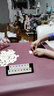 出棋必胜拉密桌游以色列麻将便携版多人家庭聚会桌面游戏益启智儿童玩具 实拍图