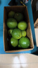 塔希提无籽青柠檬薄皮新鲜现摘青柠香水柠檬薄皮奶茶店专用包邮 【20个】塔希提青柠檬 单果50g 晒单实拍图
