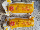 天勤粒粒净有机黄糯玉米（3.5斤）8穗*220g玉米棒低脂玉米真空包装早餐代餐 实拍图