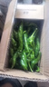 新鲜现摘薄皮螺丝椒微辣中辣香辣入味辣椒炒肉陇椒辣椒青椒 带箱4斤 实拍图