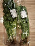 带根香菜100g 实拍图