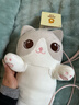 捉趣（ZHUOQU）猫咪抱枕公仔毛绒玩具女孩长条玩偶冰丝睡觉夹腿抱枕女生生日礼物 灰色【冰丝面料独立内胆】 全长约70cm 实拍图