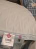 洁丽雅（Grace）纤维枕 星级酒店枕头枕芯 46*72cm 一对装（2只装） 实拍图