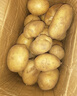播州鲜新鲜土豆贵州特产高山马铃薯土豆黄皮黄心土豆农家自种蔬菜 黄皮土豆2斤 （净重） 实拍图